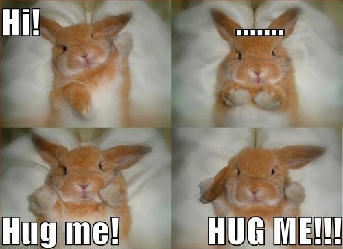 Oh hai... hug me! HUG ME!!!!