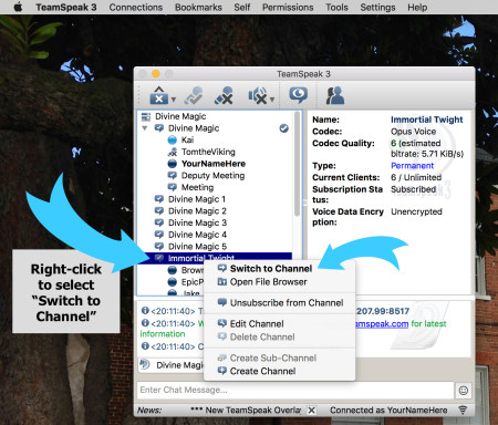 You're connected! Now just right click on Immortal Twilight and select Switch to Channel.